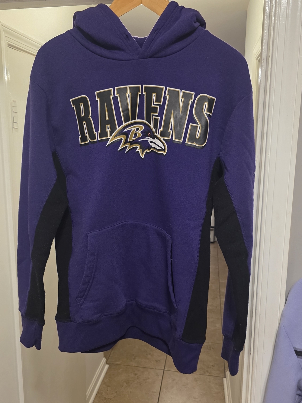 NFL Baltimore Ravens Purple Hoodie with Black Accents